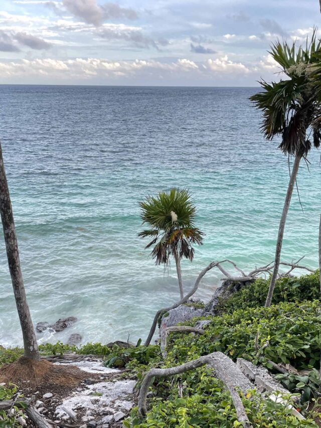 stunning shades of blue waters alongside palm trees and rich greenery in the jungles of tulum mexico