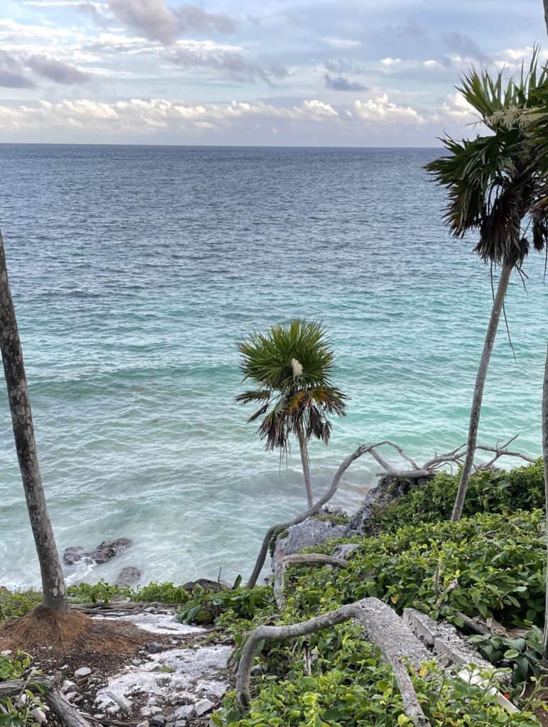 stunning shades of blue waters alongside palm trees and rich greenery in the jungles of tulum mexico