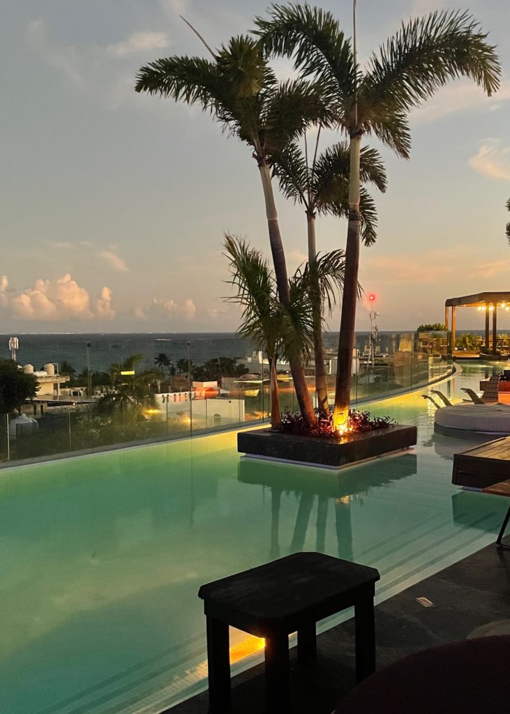 views from a the Thompson rooftop in Playa Del Camren showing a sunset setting in and palm trees in the background 