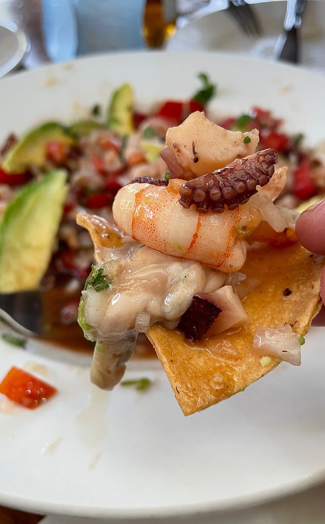 tortilla chip full of mexican ceviche featuring shrimp and octopus