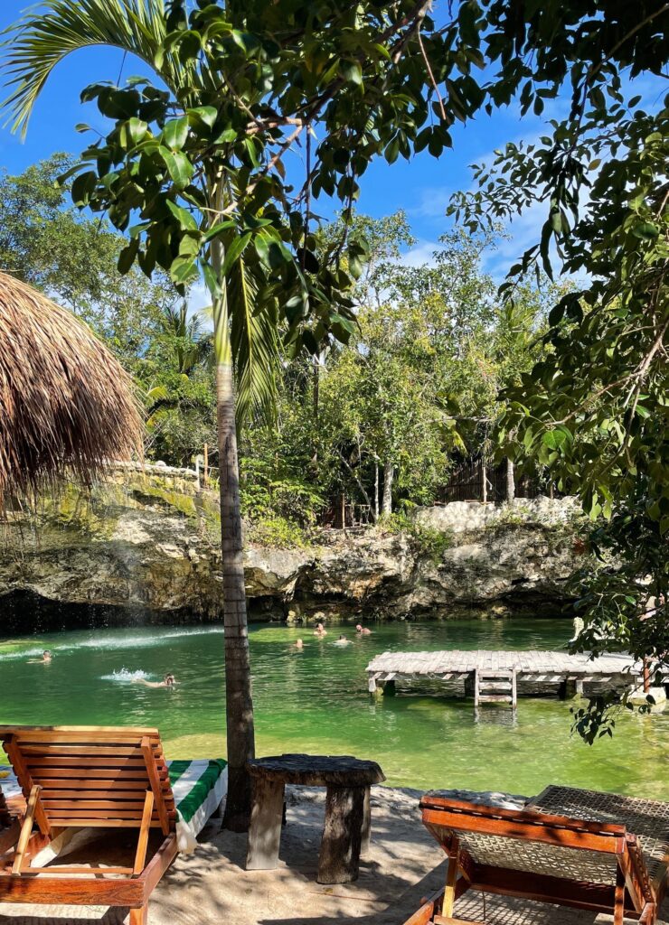 brown lounge beach chairs inside of a cenote with crystal clear water and trees surrounding casa tortuga cenote in tulum