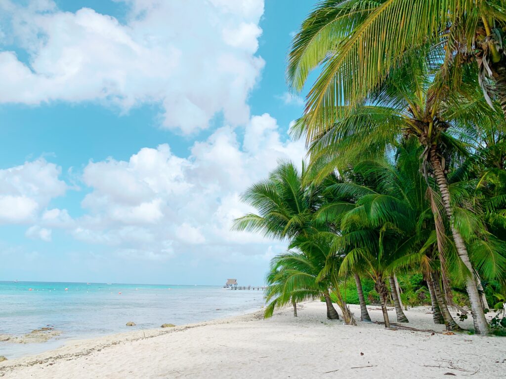 clear white sandy beach shoreline full of stunning green palm trees and turquoise waters in Cozumel / is Cozumel expensive