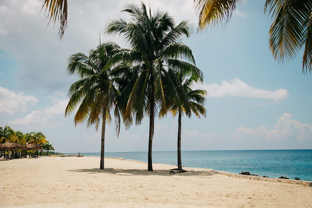 flat white sandy beach shoreline with several palm trees and palapas