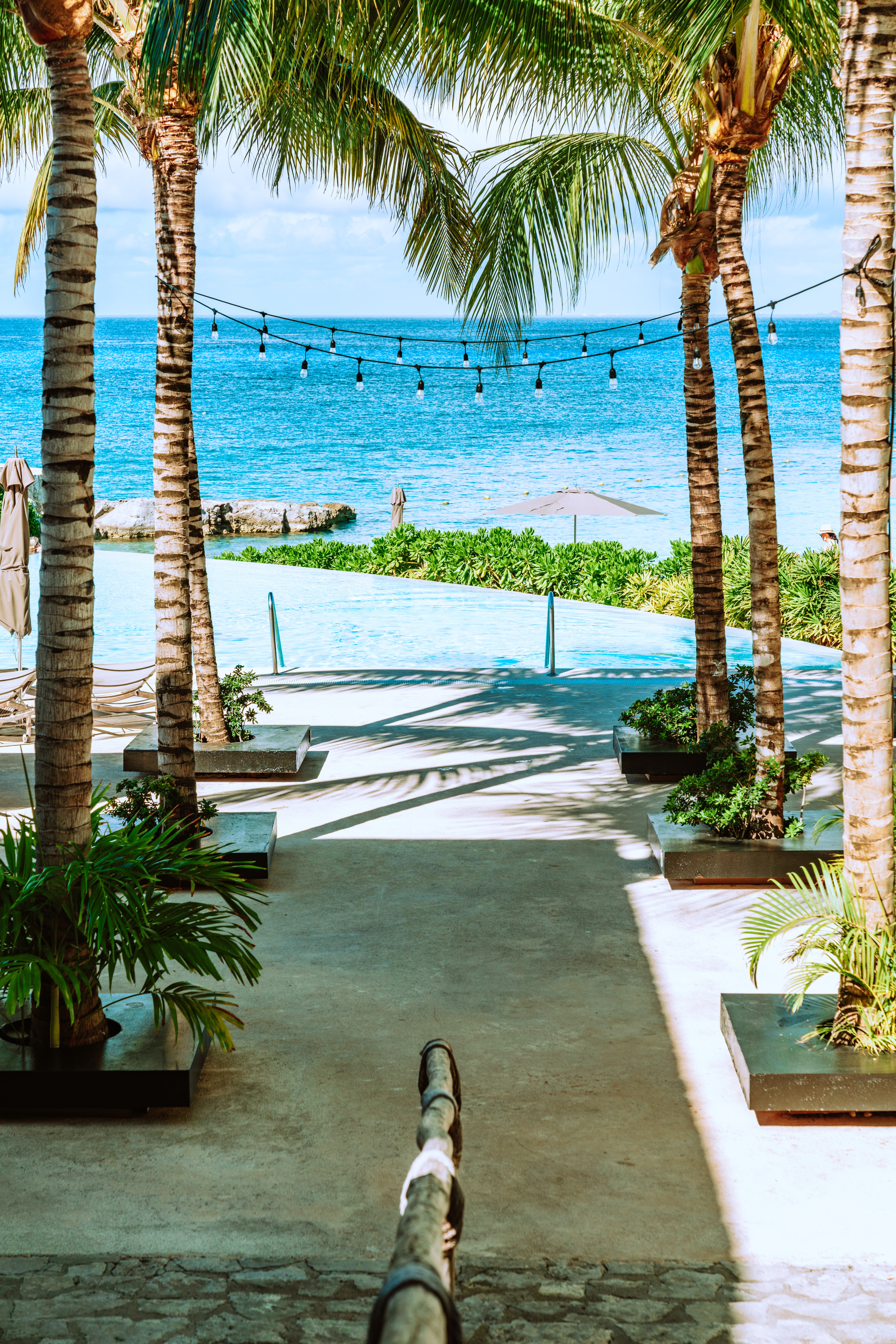 Palm trees along a walkway to an infinity pool and ocean waters at the intercontinental presidente cozumel resort and spa