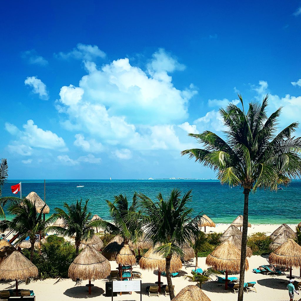 several tall palm trees and palapas on beautiful beach with turquoise waters and clear skies in Isla Mujeres, Mexico