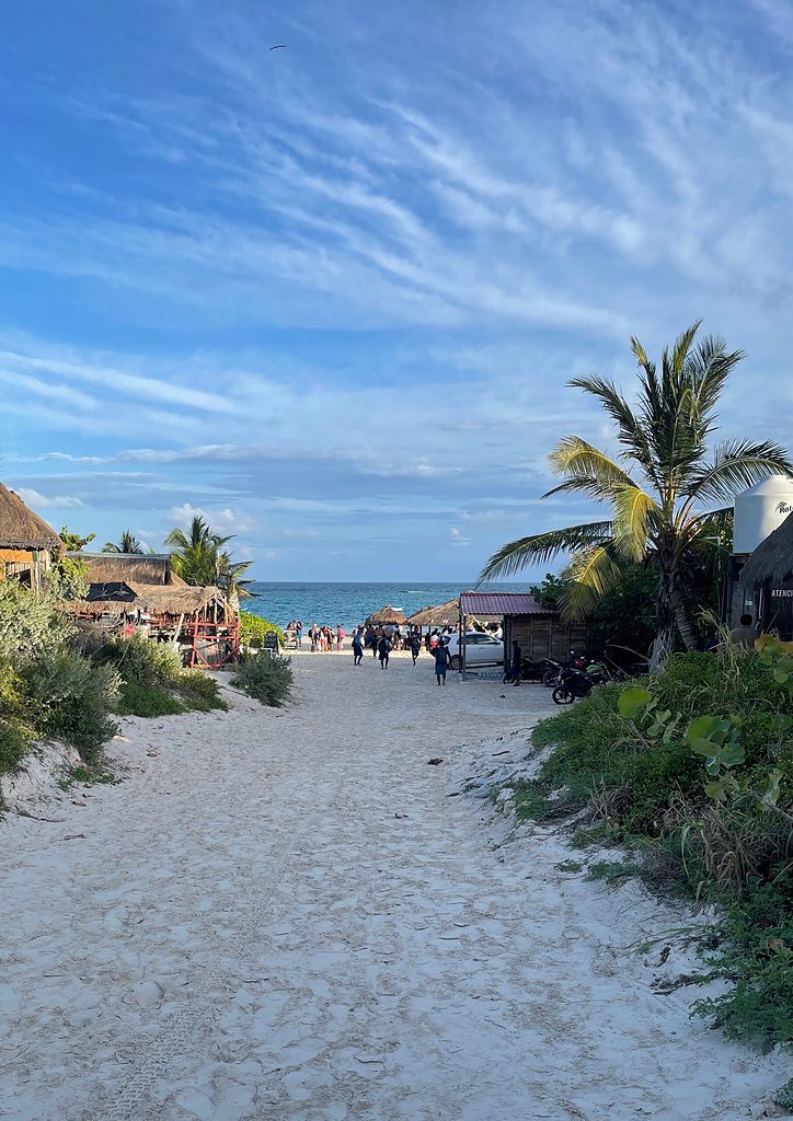 a sandy trail leading to the tulum north beach with clear blue skies, palm trees and turquoise blue waters