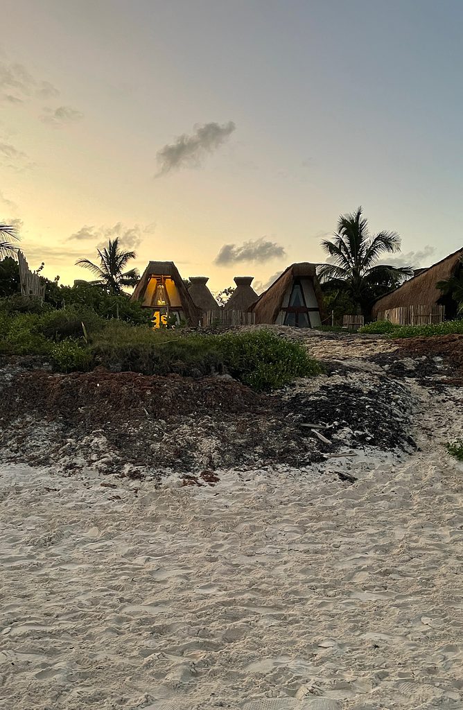 tiki style homes surrounded by palm trees located on tulum north beach with a beautiful jungle sunset