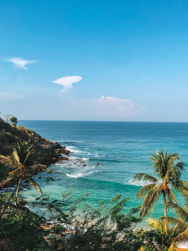 8 Things To Do in Puerto Escondido