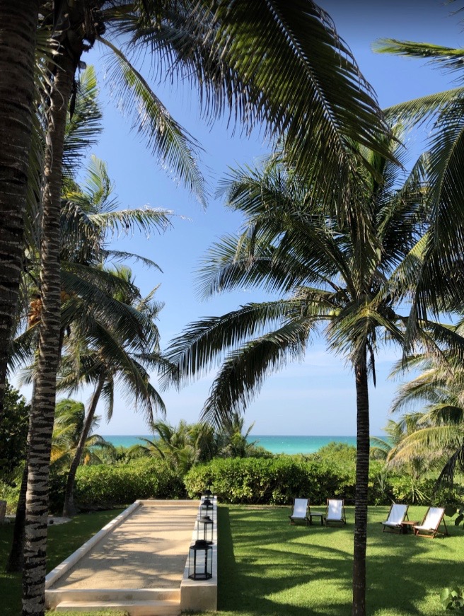 a pathway full of palm trees leading to the beach in SIsal, Yucatan, Mexico