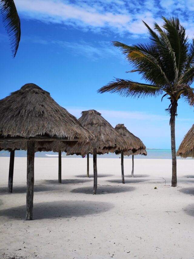 6 Things To Do in Progreso, Mexico