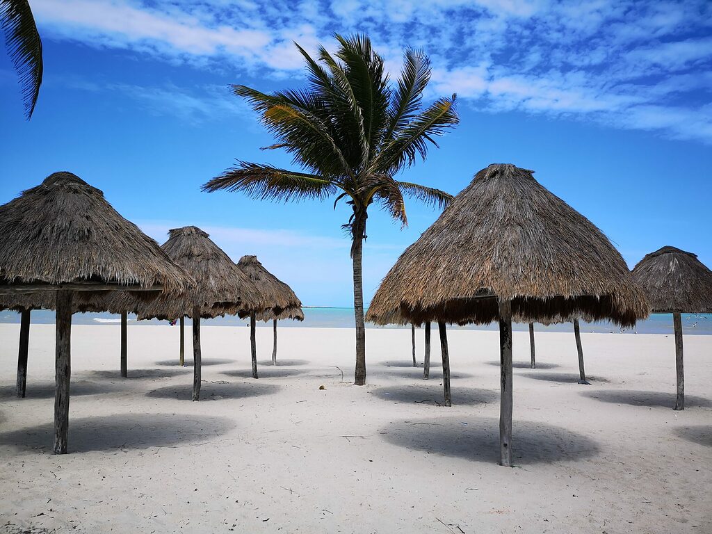 white sandy beach with many palapas and palm trees at Progreso beach in Mexico
