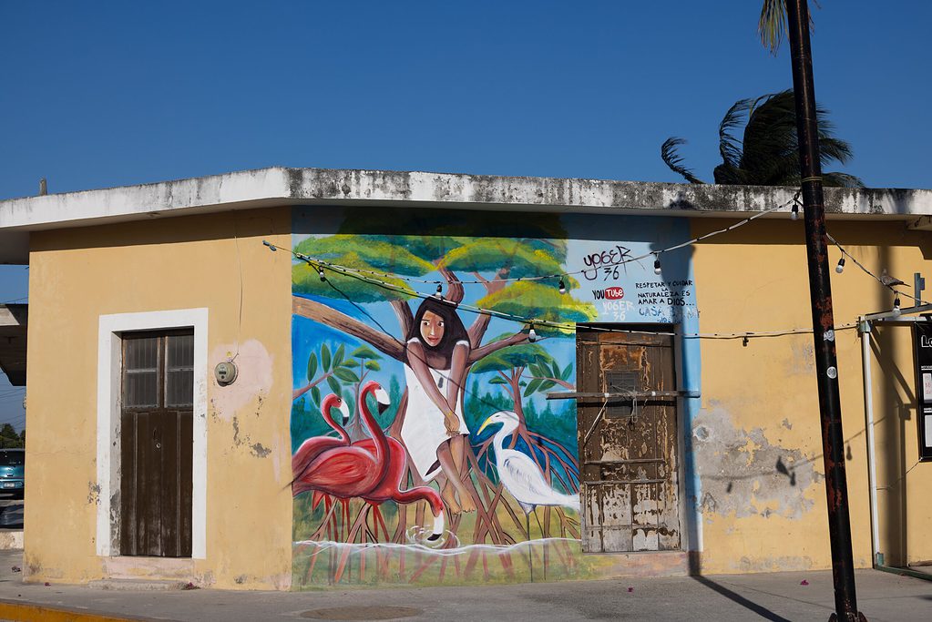beautiful street art showing a girl beside flamingos on the streets of Sisal, Mexico