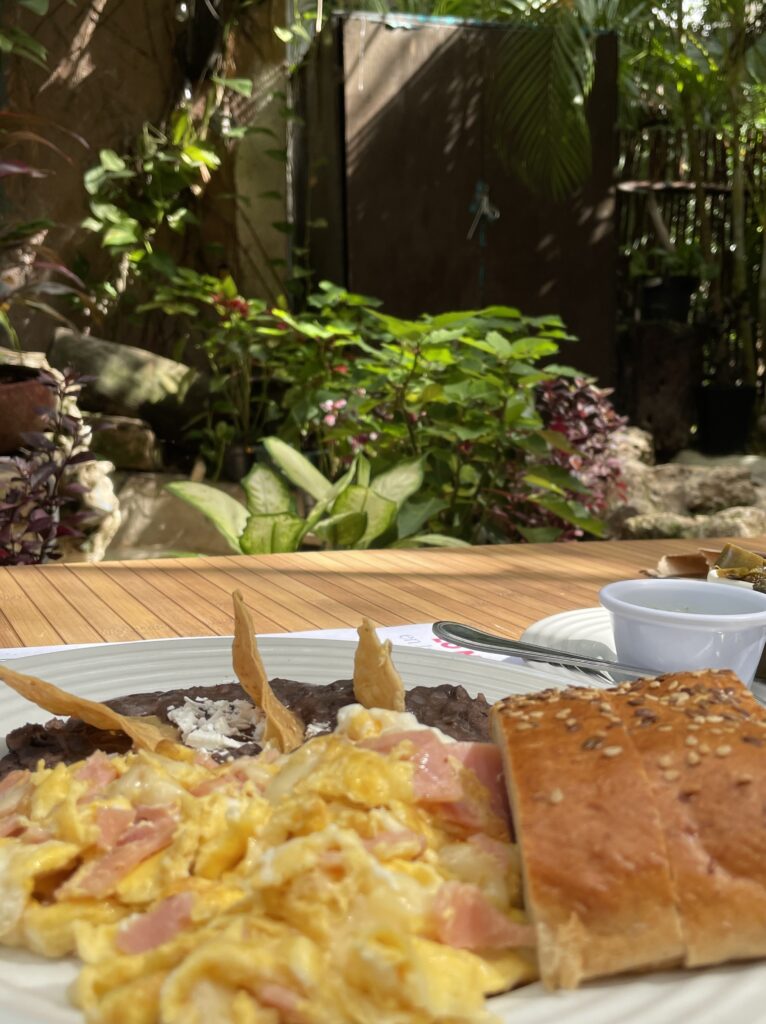 breakfast dish with several trees in the background at 100% natural breakfast restaurant in Playa Del Carmen 
