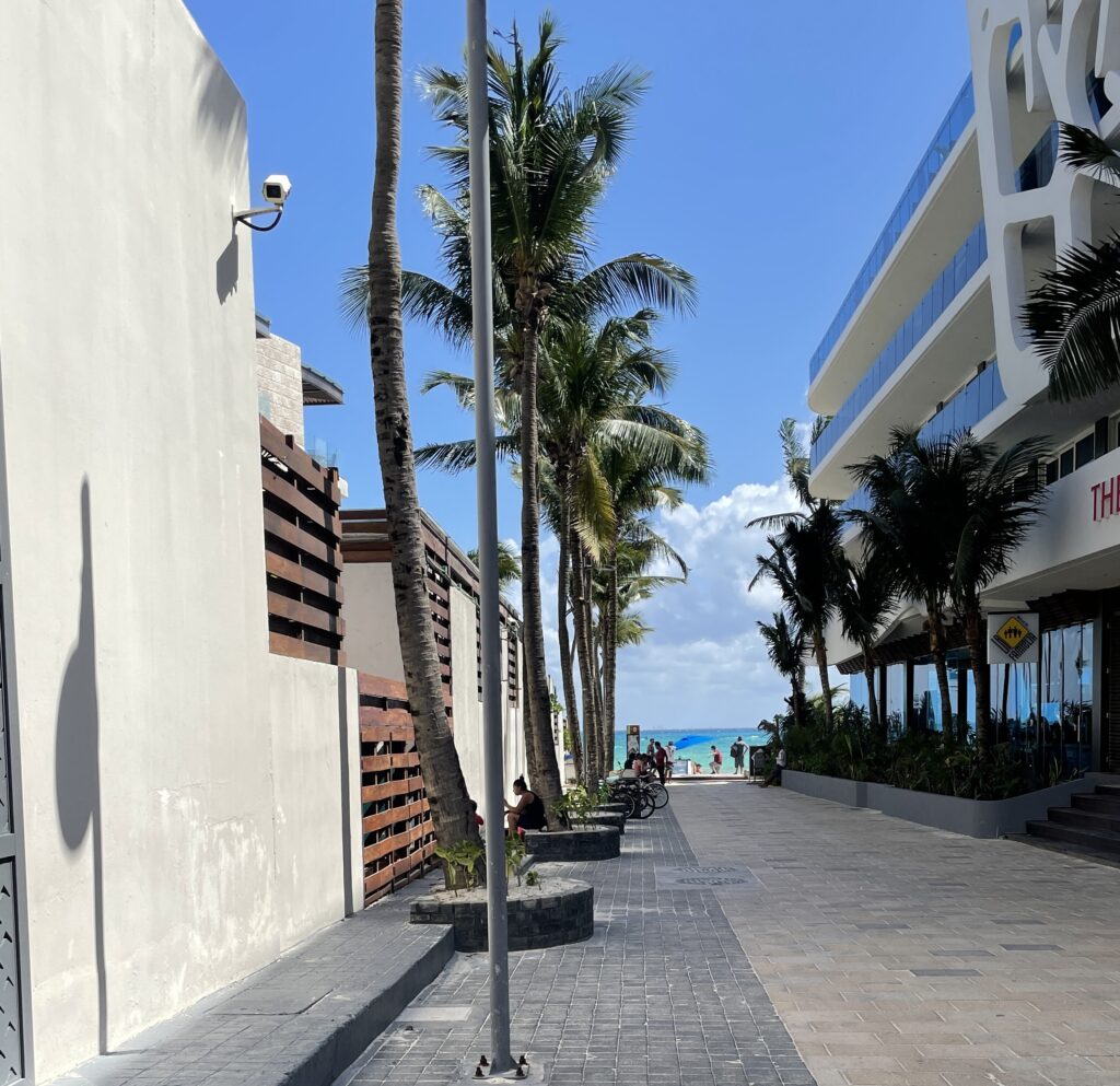 walkway full of palm trees towards Playa Del Carmen main beach, a must visit on your Riviera Maya itinerary / Cancun to Playa Del Carmen