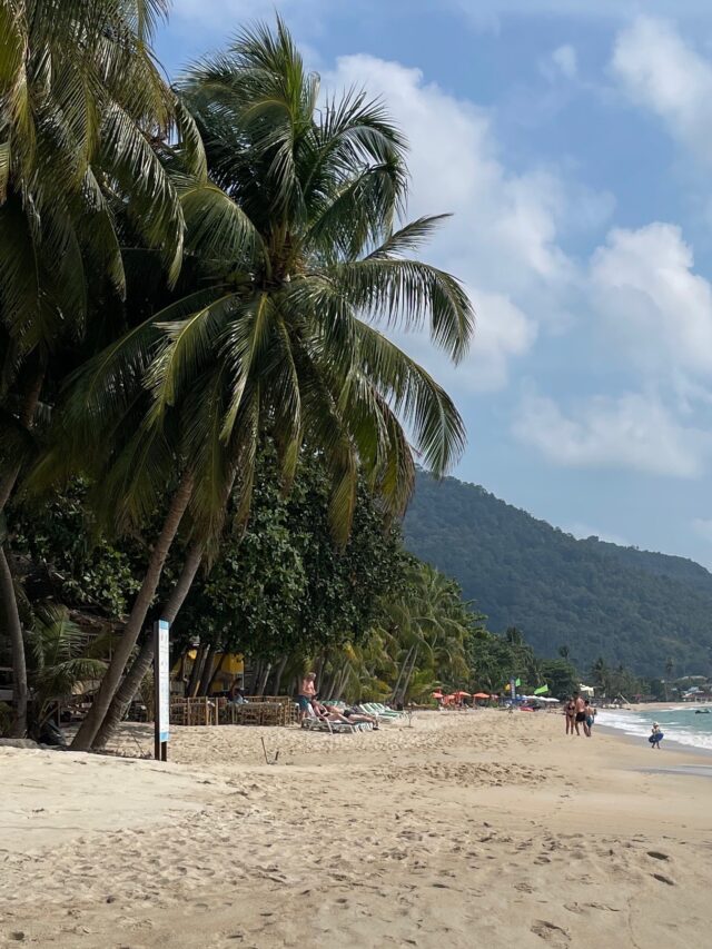 a few tourist walking on a long shore of Lamai Beach complete with palm trees on the side in Koh Samui