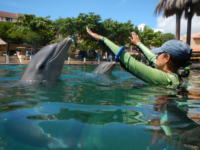a dolphin trainer instructing two dolphins to come out of the water at Dolphin Discovery in Puerto Aventuras