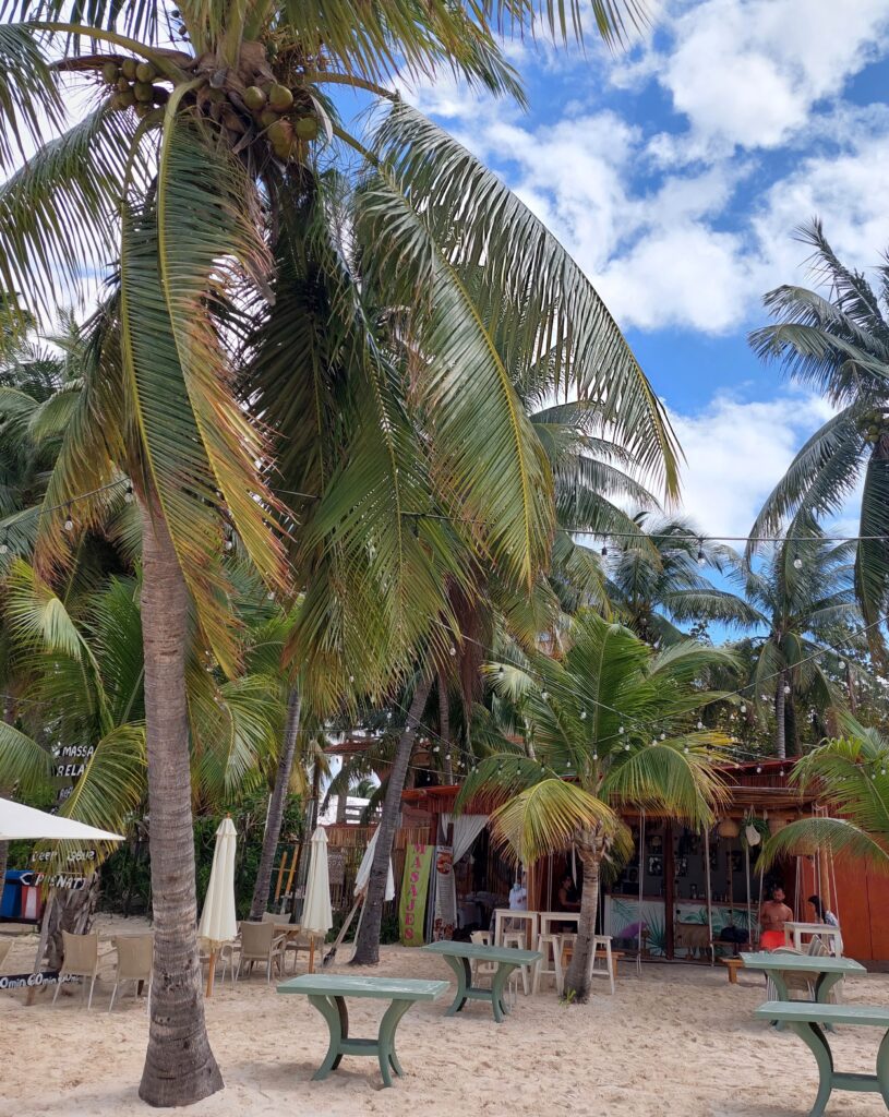 a few customers sitting at a beach bar under palm trees in Isla Mujeres, Mexico