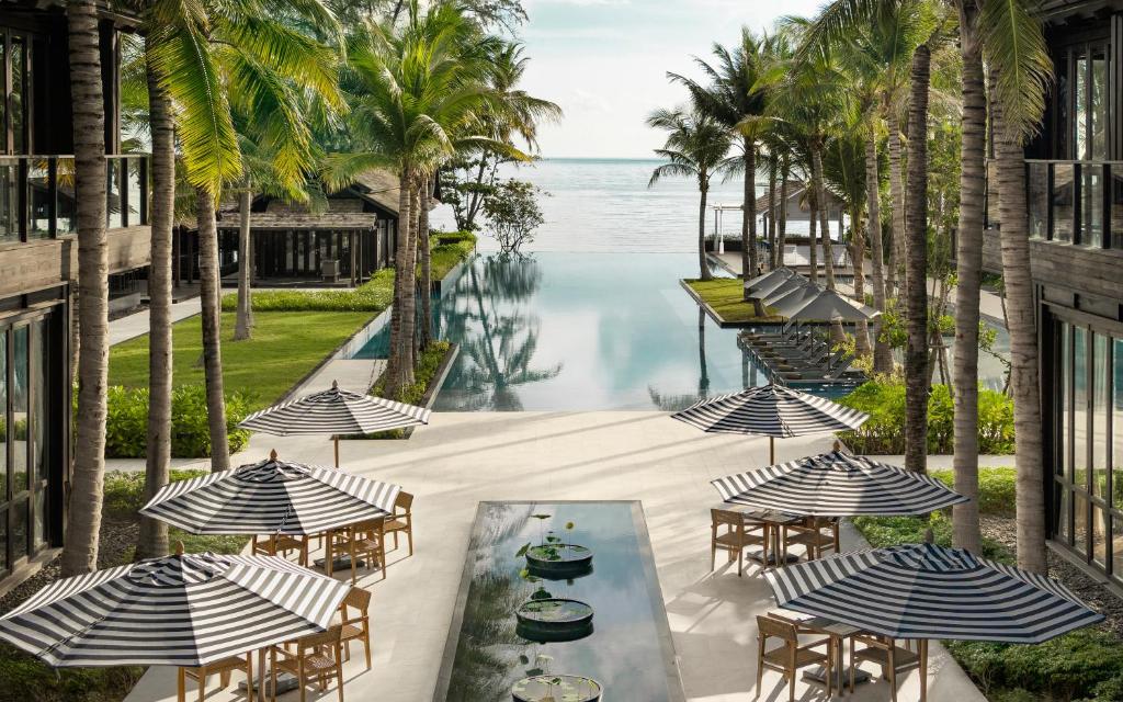 view of the infinity pool surrdouned by palm trees with ocean views at the Kimpton Kitalay hotel in Koh Samaui, Thailand