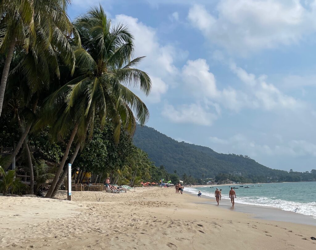 a few tourist walking on a long shore of Lamai Beach complete with palm trees on the side in Koh Samui