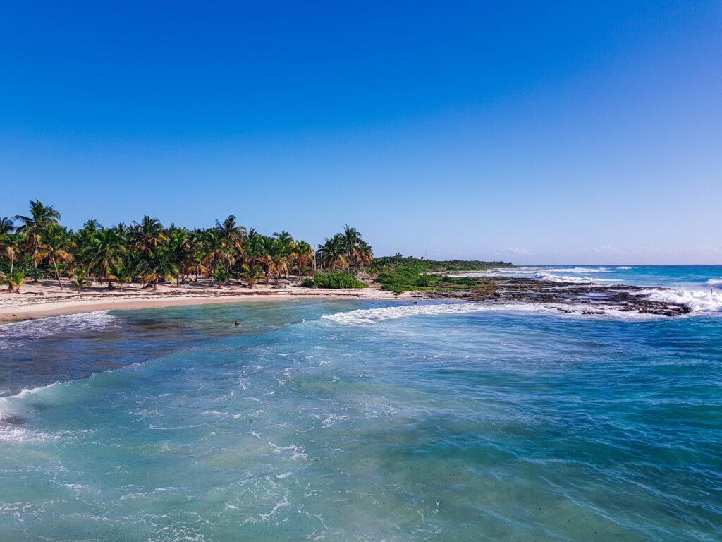 beautiful shoreline filled with several palm trees and Caribbean Sea in Mahahual Mexico