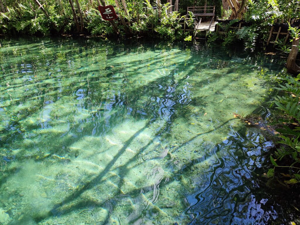 photos of translucent green water at Reserva ecologica in Progreso, Mexico