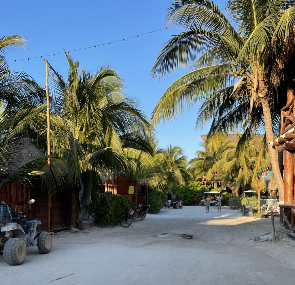 dirt road full of palm trees from both sides and clear skies above in Isla Holbox, Mexico