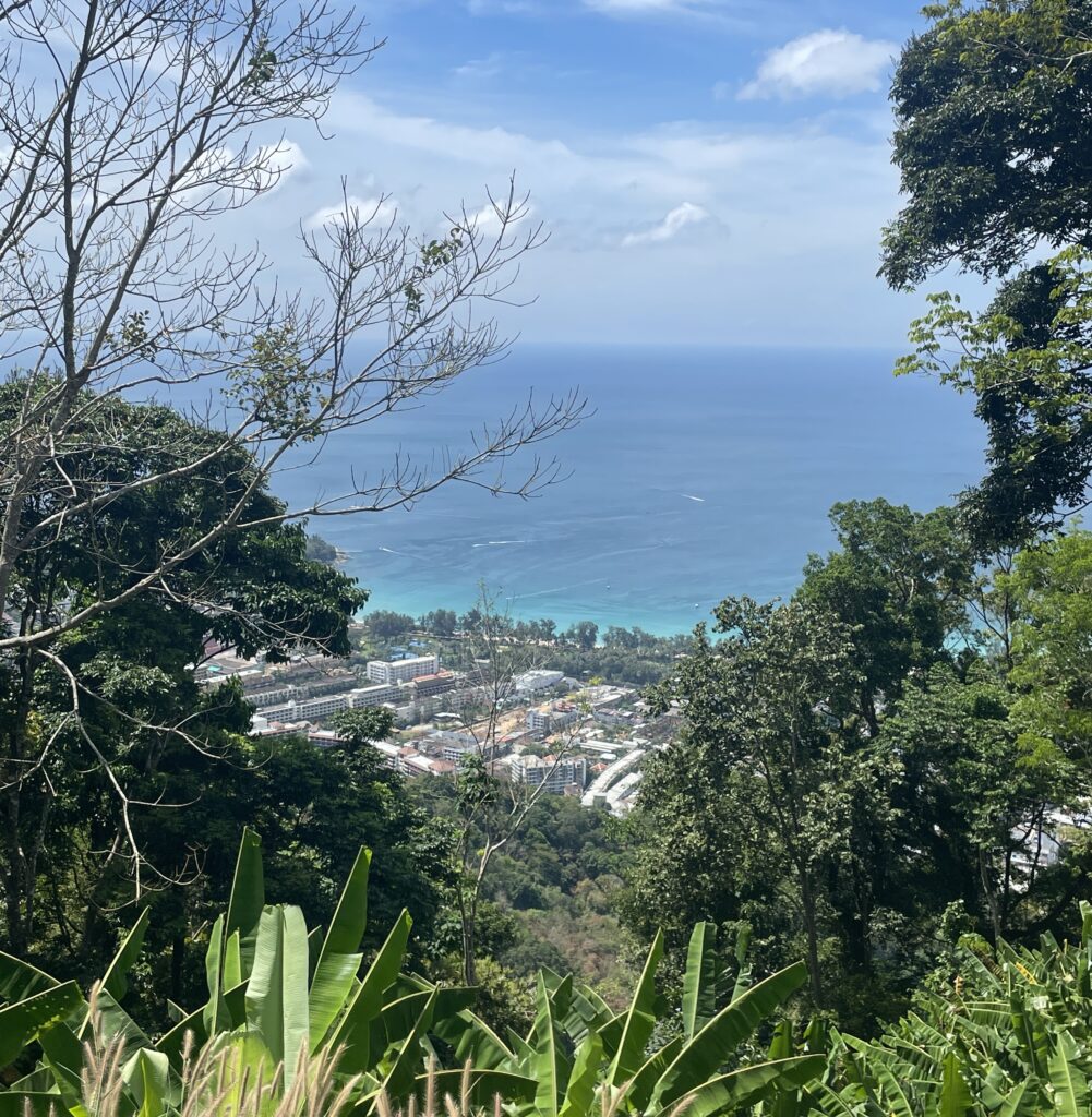 views of condos and hotels, the ocean, and many trees from a Kata Viewpoint in Phuket, Thailand
