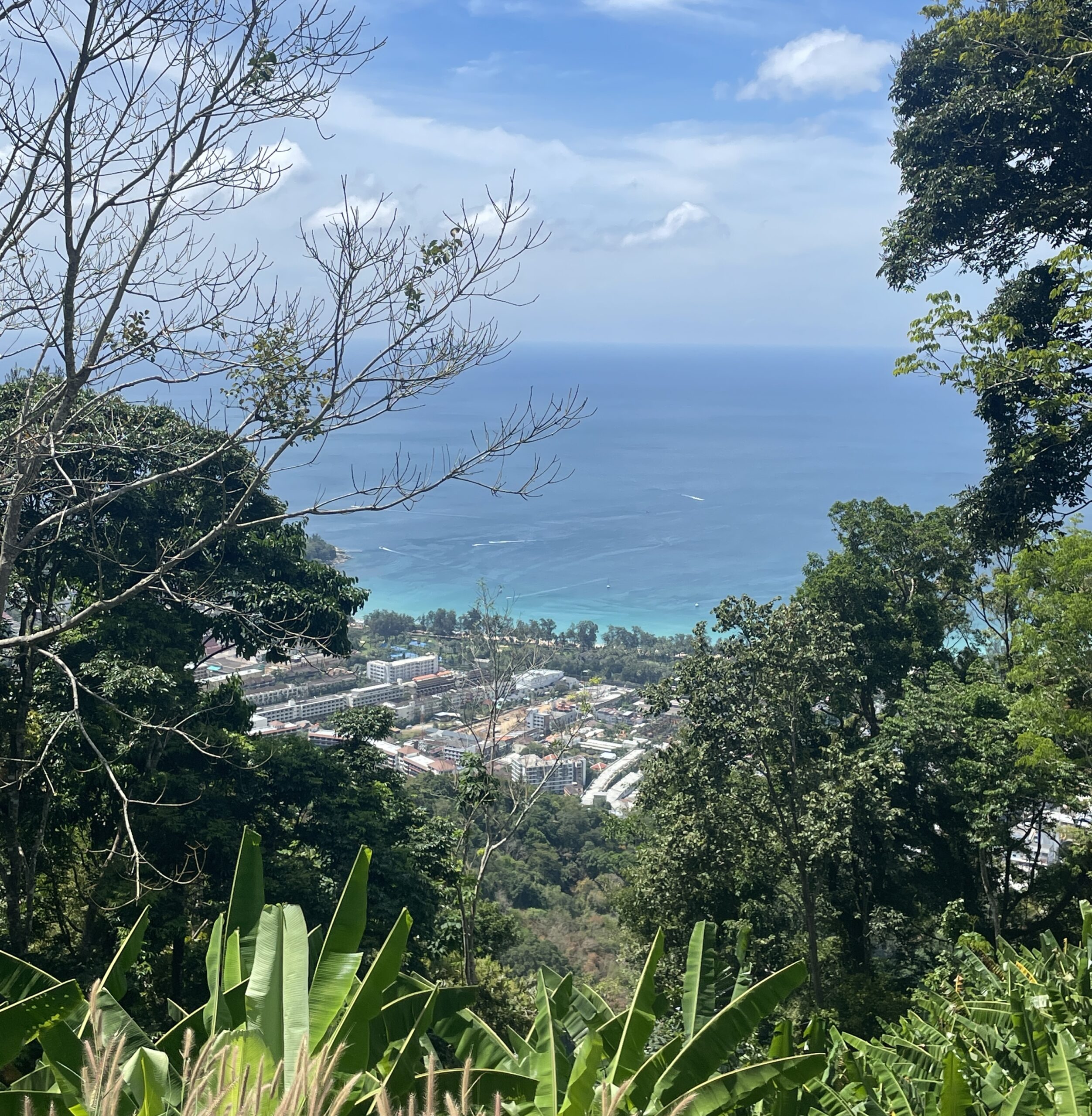views of condos and hotels, the ocean, and many trees from a Kata Viewpoint in Phuket