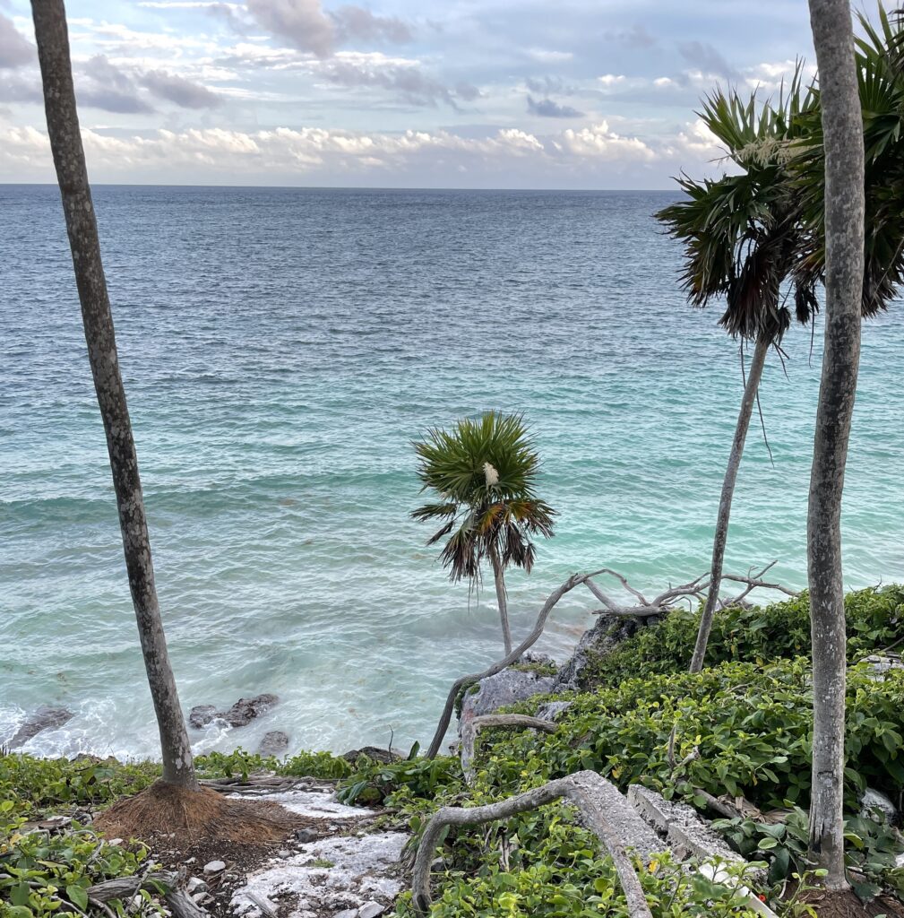 views of the Caribbean sea featuring various shades of turquoise blue water from Tulum National Park