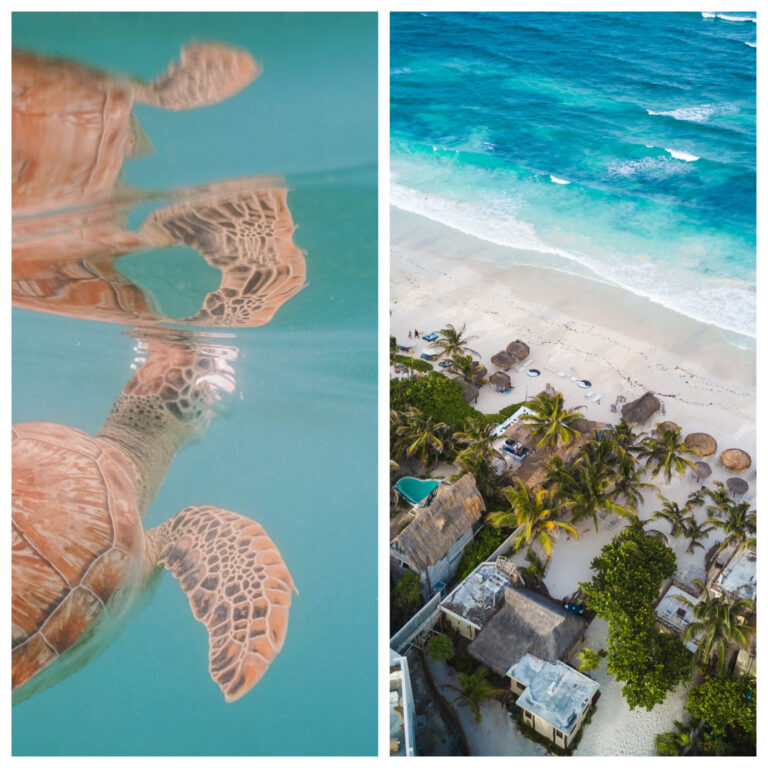 Akumal vs Tulum: 7 Things to Consider