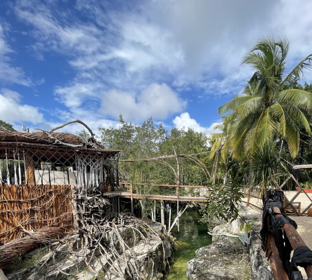 bridges over a cenote in Tulum, palm tress and clear skies in the backdrop 