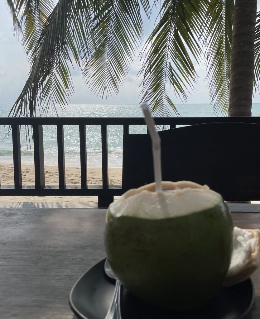 fresh Thai coconut being served at a restaurant in Lamai Beach in Koh Samui, Thailand