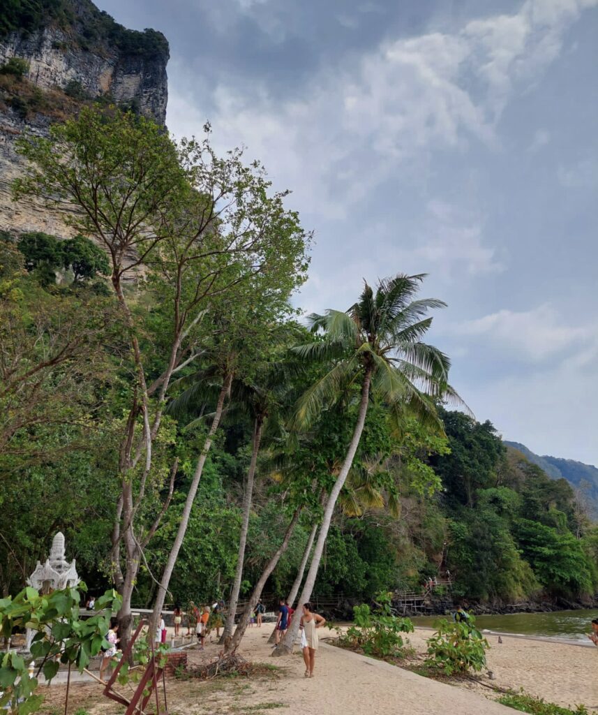 tourist walking around Monkey Trail an area full of wild monkeys and the beach in Ao Nang, Krabi, Thailand