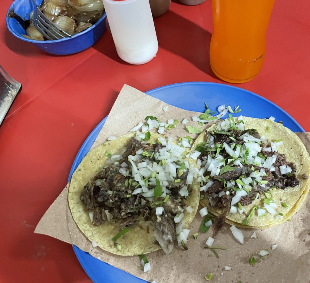 two different unique meat cuts of tacos being served at El Niro in Playa Del Camren