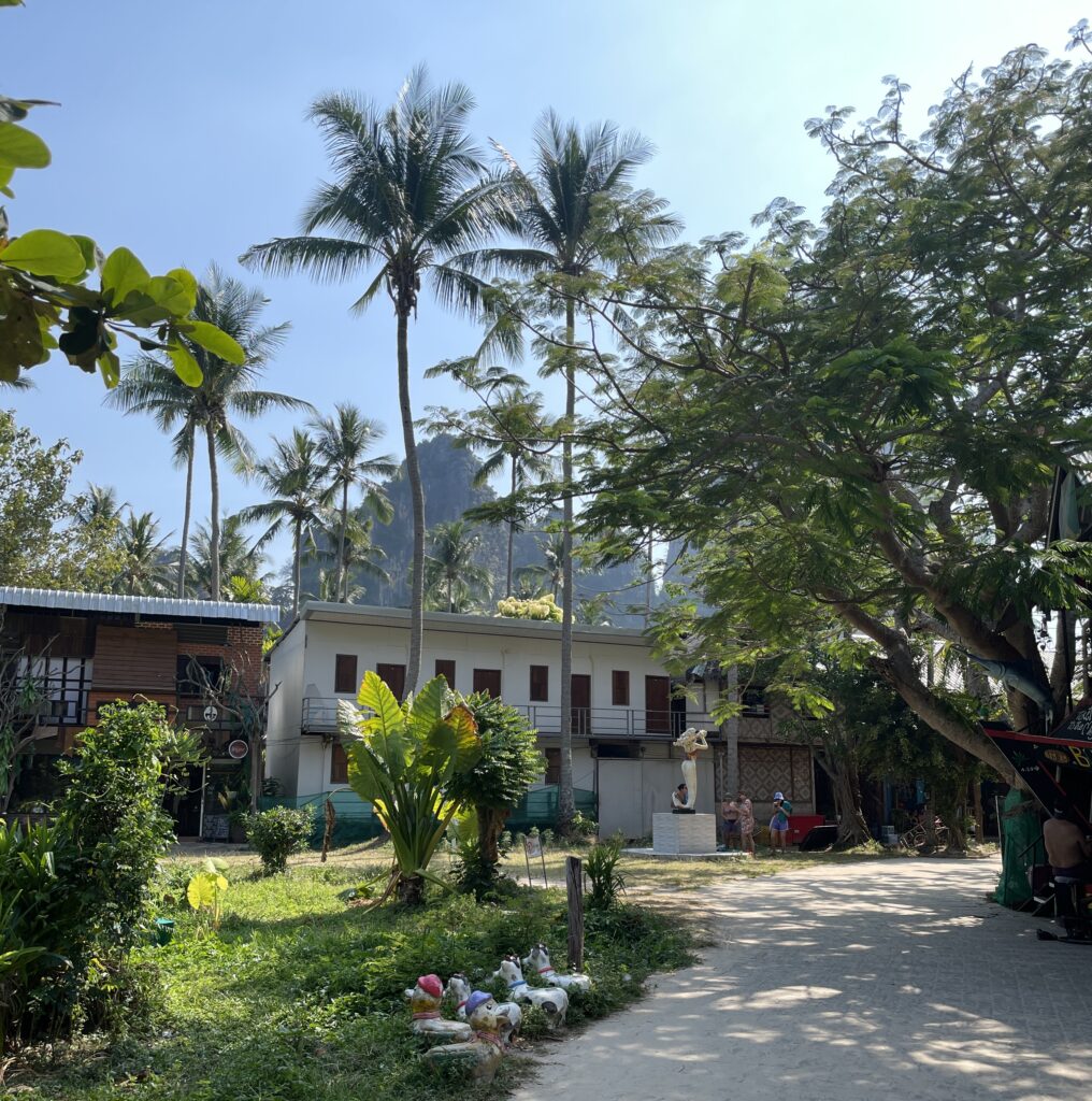 clear skies, several palm trees along the three-way road in Railay Beach, Krabi