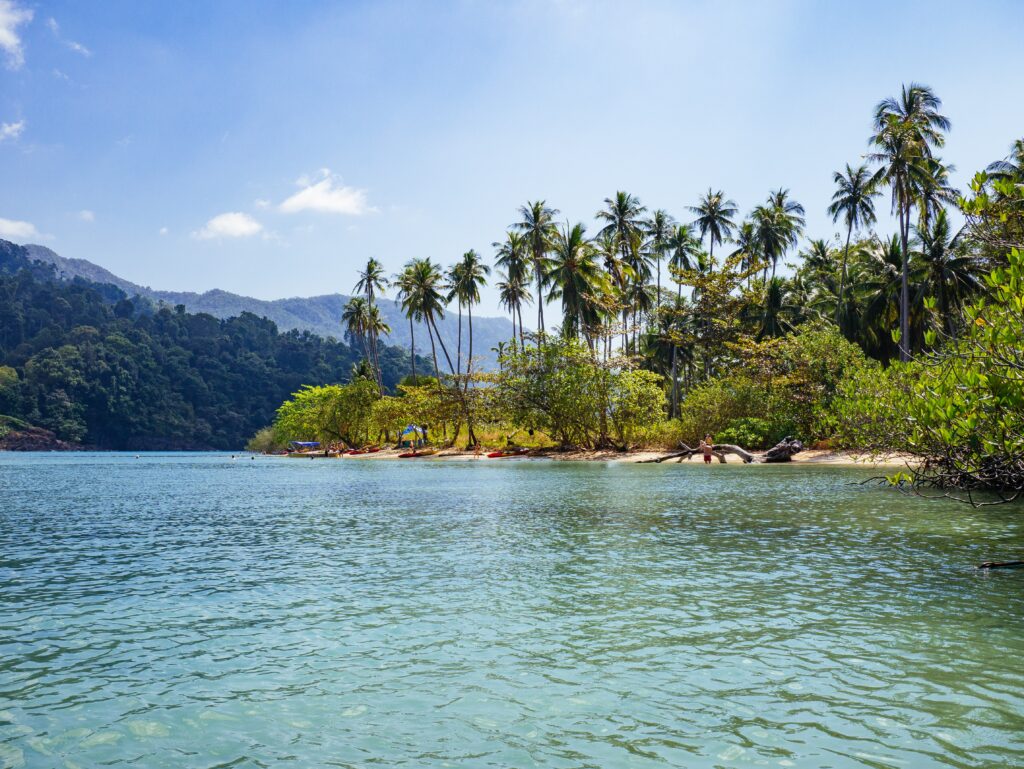several palm trees and luscious green mountains along the beach in Koh Chang, Thailand