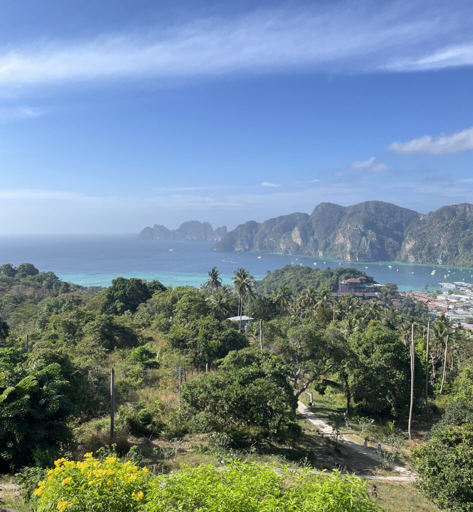 greenery on Phi Phi Don with views of the Andaman Sea along with several large limestones in the sea