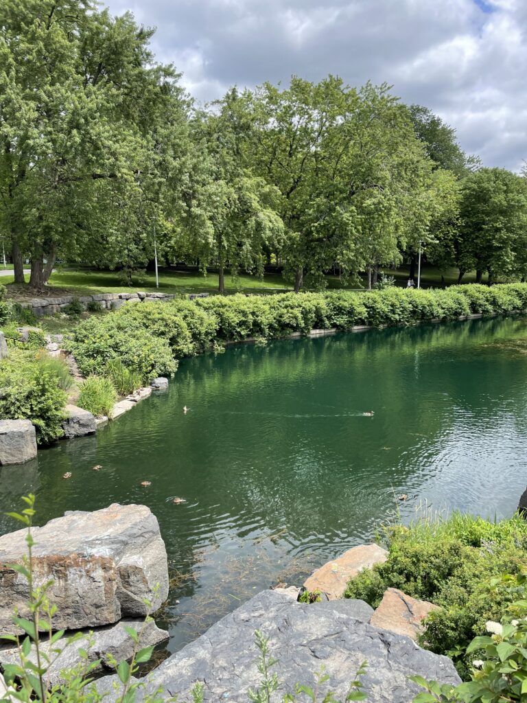 pond amongst many green trees at Parc La Fontaine park in Montreal