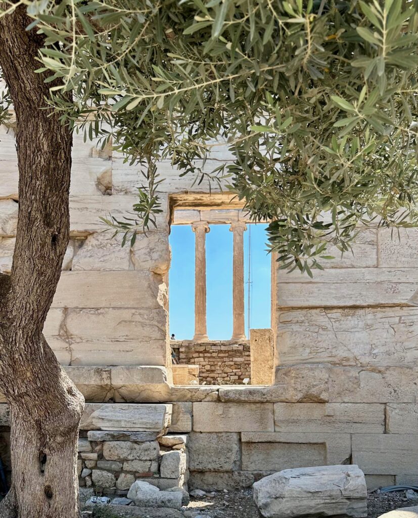 a beautiful old tree arched towards the ancient ruins of the Parthenon archaeological site in Athens, Greece 