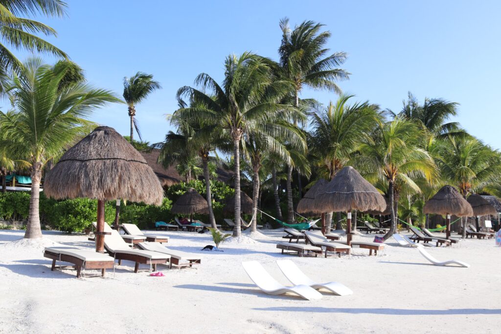 several sun chairs on a white beach full of palm trees and palapa in Isla Mujeres, Is Isla Mujeres worth visiting?