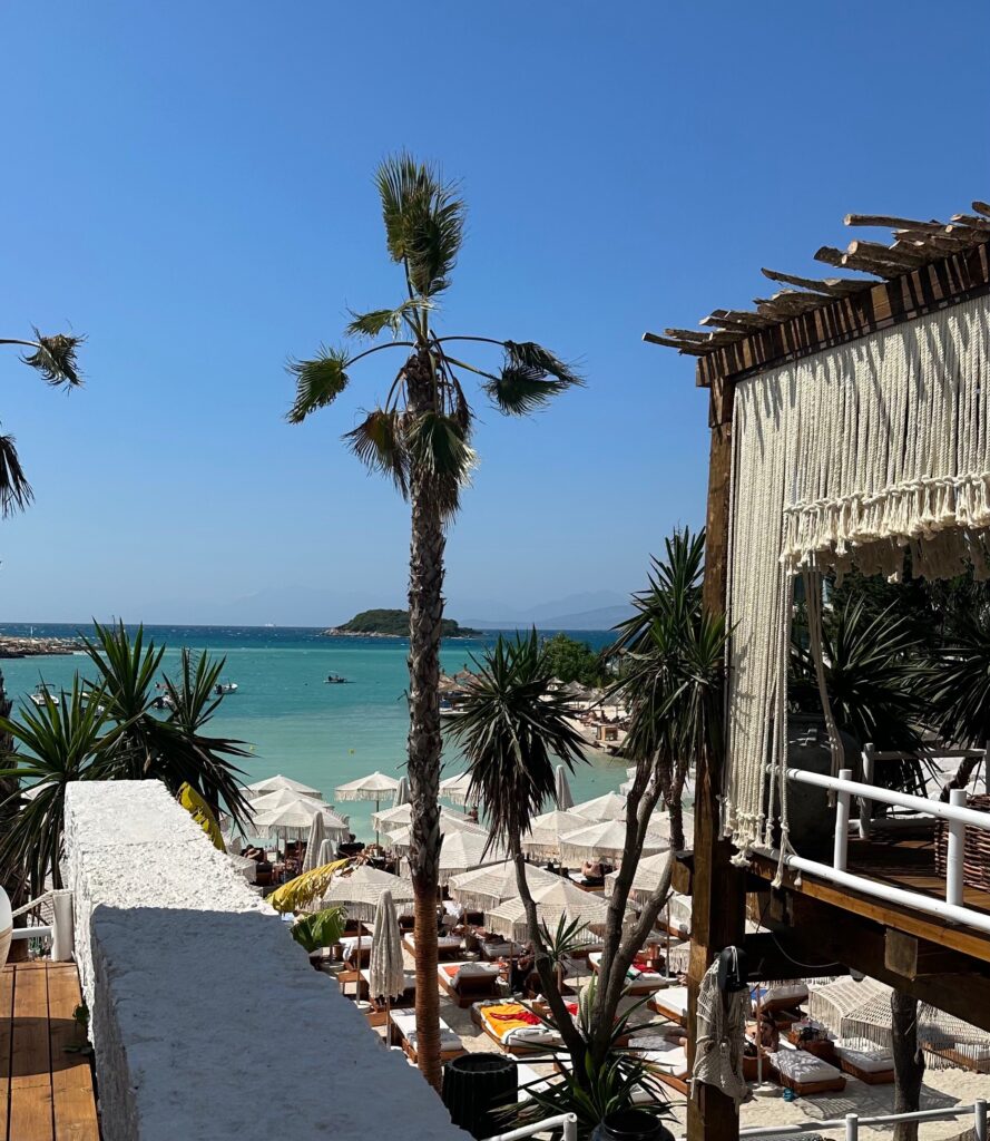 several umbrellas amongst palm trees and beach in the distance