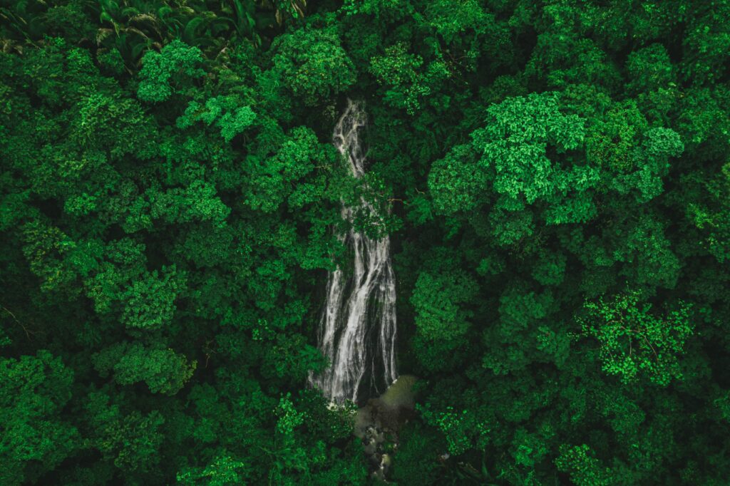 aerial views of a tall waterfall in the jungles of Puerto Vallarta