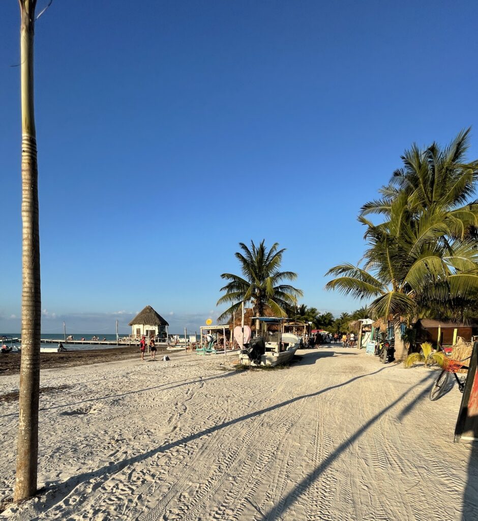 stunning picturesque path on the main Holbox Beach on a clear skies day with several palm trees along the way