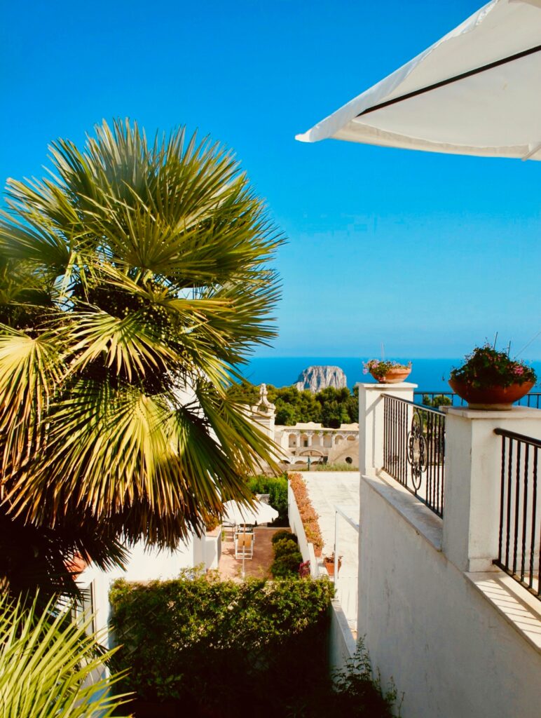stunning views of the sea in Capri among many plants at a restaurant