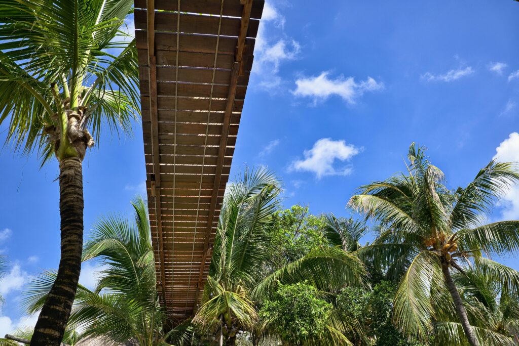 a wooden structural bridge amongst many palm trees in Mahahual, Mexico