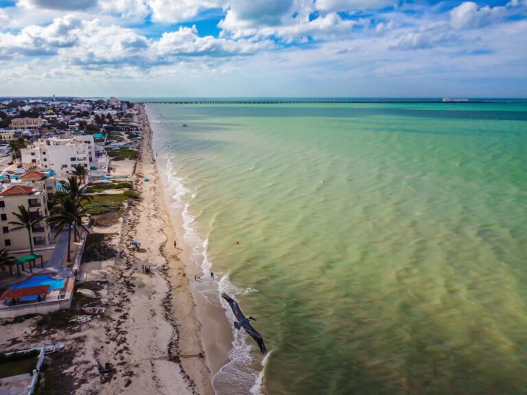 aerial photo of emerald shoreline and many homes along Playa Progreso in Progreso, Yucatan, Mexico / best things to do in Progreso Yucatan