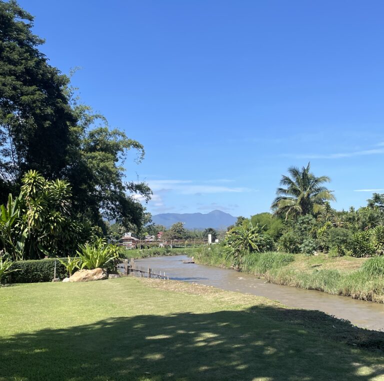 lots of greenery amongst the Pai river and palm trees in Northern countryside of Thailand , Is Pai worth visiting