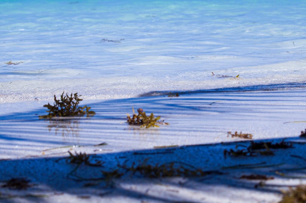 various shades of turquoise blue water at the main beach in Mahahual, Mexico 