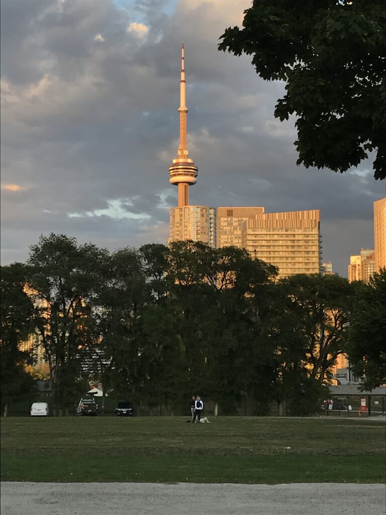 Greenery along the Toronto city skyline at Fort York Park on a Summer night 