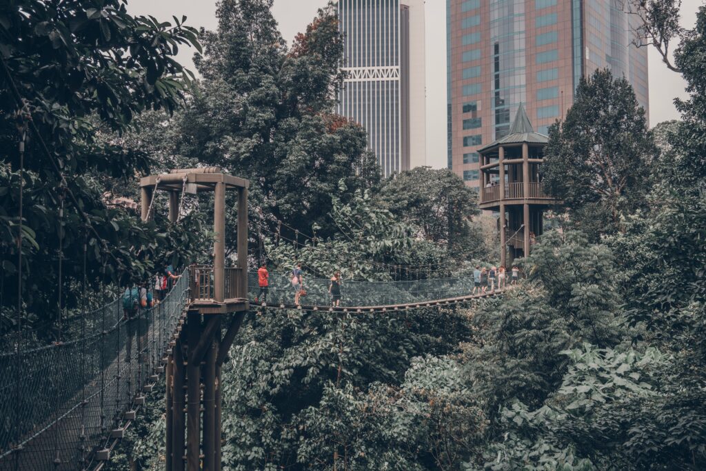tourists walking along the suspension bridge in KL Eco Park 